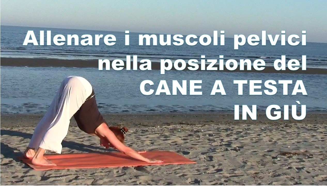 Allenare i muscoli pelvici nella Posizione del cane a testa in giù