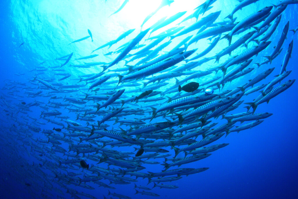 Andare controcorrente