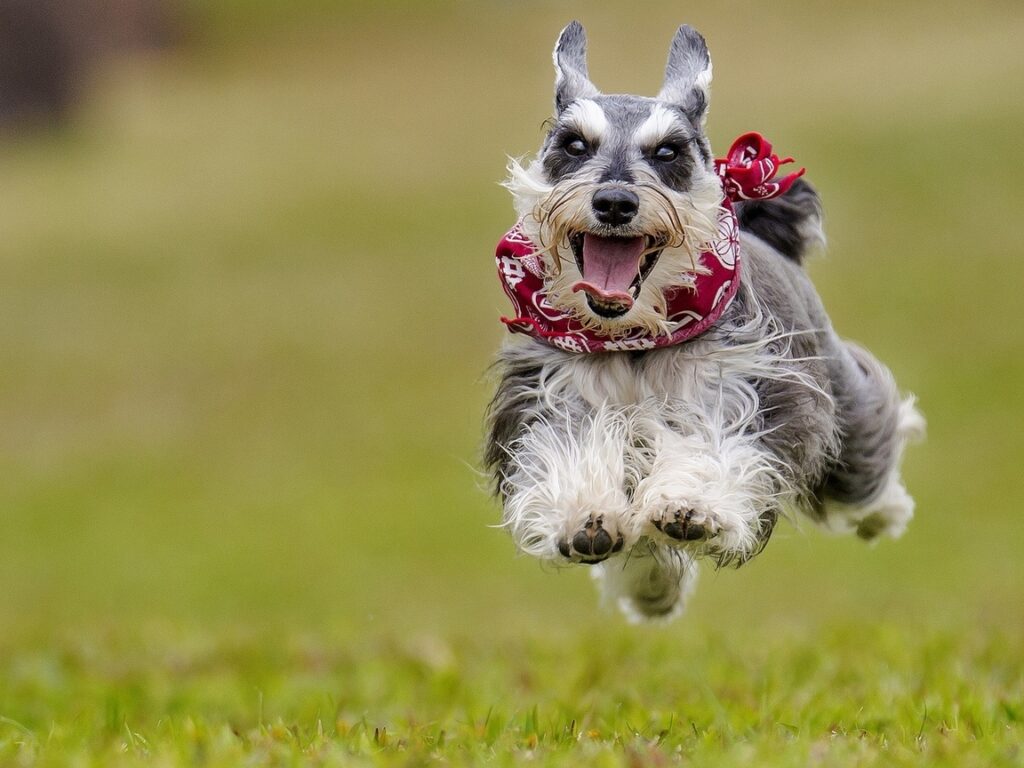 Esprimere i sentimenti