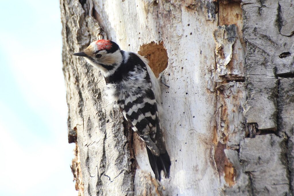 Lezione di focalizzazione
