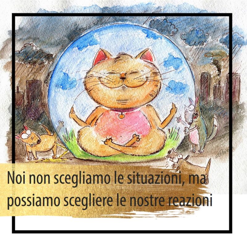 Noi non scegliamo le situazioni, ma possiamo scegliere le nostre reazioni