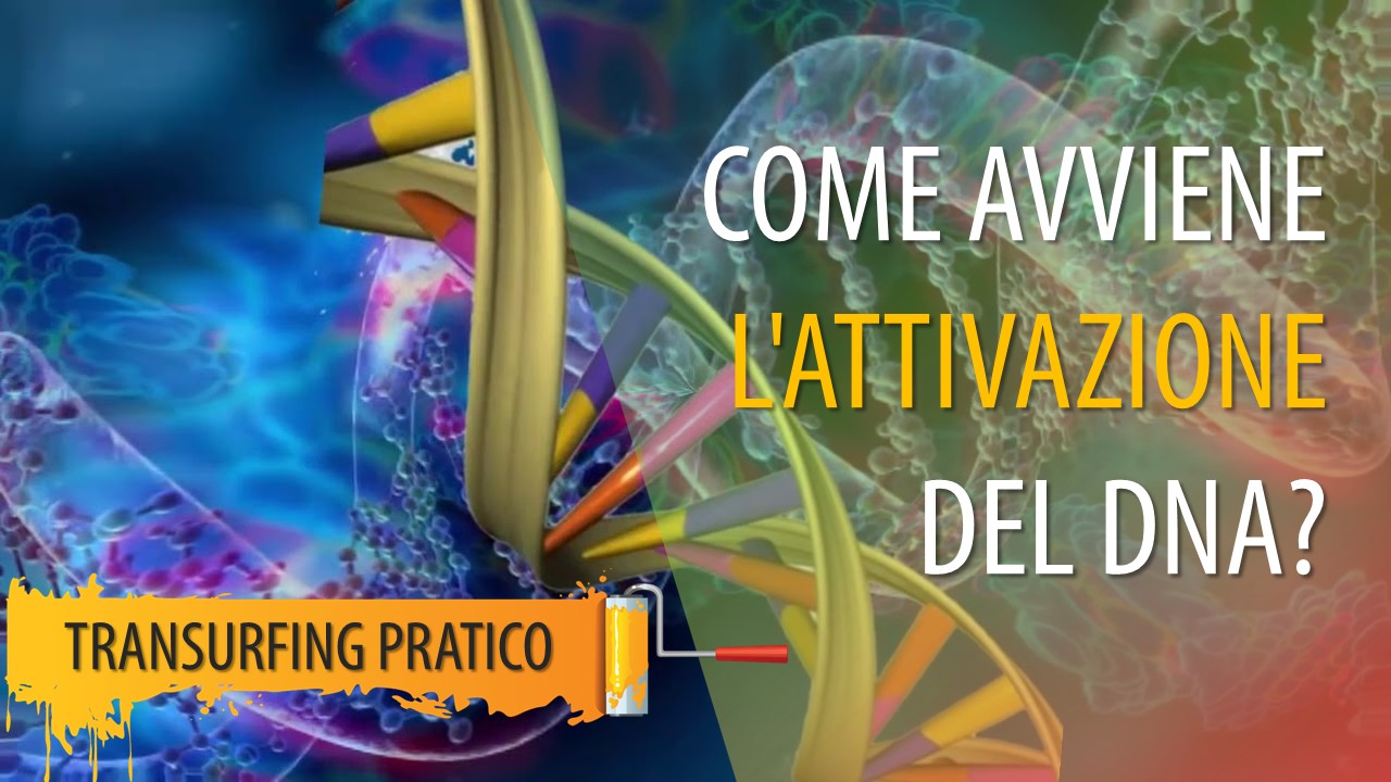 COME AVVIENE L’ATTIVAZIONE DEL DNA? QUALI OPPORTUNITÀ OFFRE?