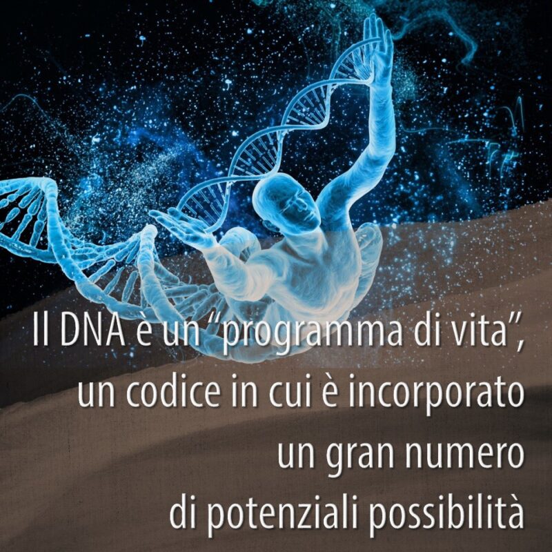 Il DNA è in sostanza un programma di vita, un codice in cui è incorporato un gran numero di potenziali possibilità.