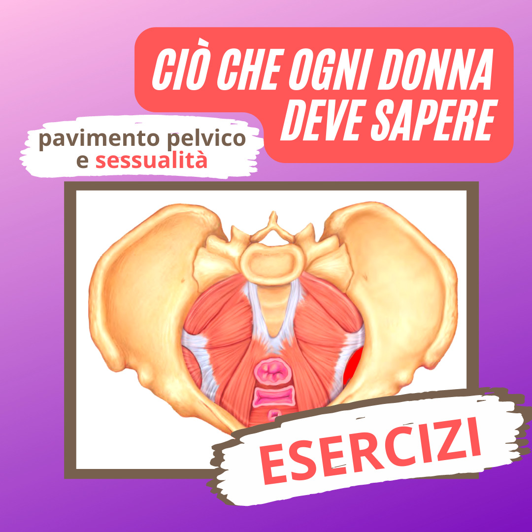 Il PAVIMENTO PELVICO è il pilastro della salute della donna